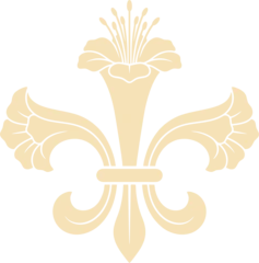 El camino de la Flor de Liz